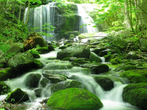 These 19 Virginia Waterfalls Are Absolutely Breathtaking