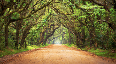 These 20 Jaw Dropping Places In South Carolina Are Wonderfully Beautiful