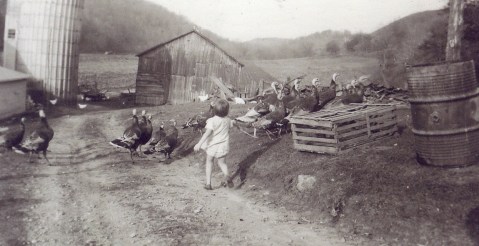 15 Fascinating Vintage Photos From Wisconsin's Past