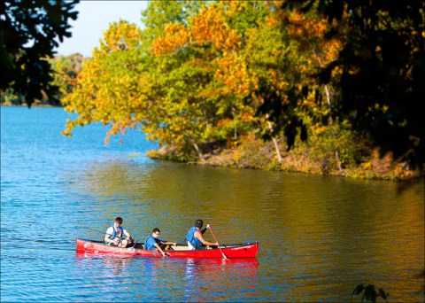 These 20 Gorgeous Lakes In Arkansas Are Demanding Your Attention This Summer