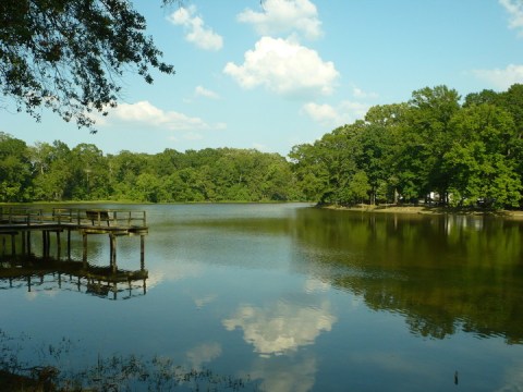 10 Absolutely Amazing State Parks in Mississippi