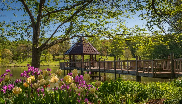 Meadowlark Botanical Gardens