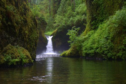 13 Hidden Waterfalls In Oregon That Will Take Your Breath Away