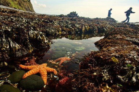 Here Are 11 Unique Day Trips In Oregon That Are An Absolute Must-Do