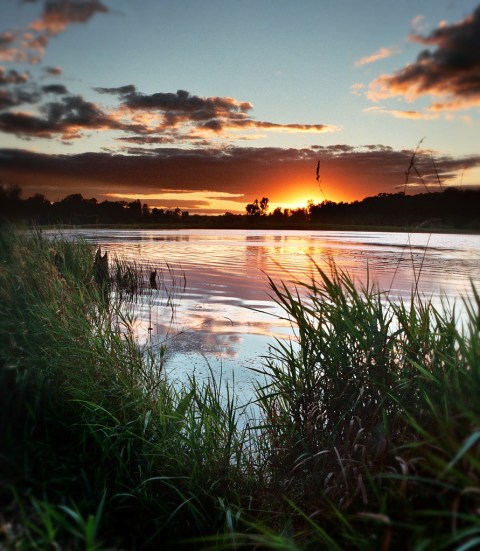 These 10 State Parks In Illinois Will Knock Your Socks Off