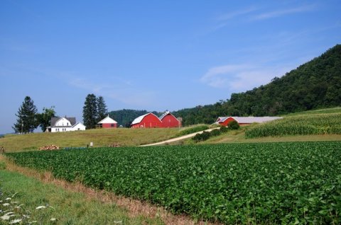 11 Farms in Mississippi Will Make You Fall In Love With The Country