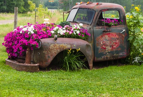 These 22 Charming Farms in Minnesota Will Make You Love The Country