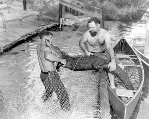 16 Rare Photos From Florida That Will Take You Straight To The Past