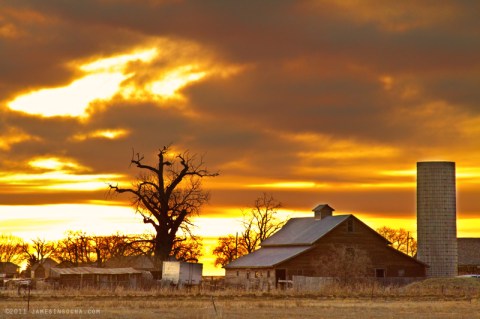 These 15 Charming Farms In Colorado Will Make You Love The Country