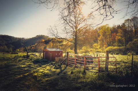 These 10 Charming Farms In North Carolina Will Make You Love The Country