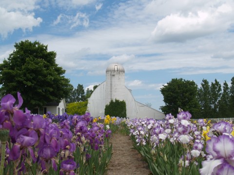 These 10 Charming Farms In Michigan Will Make You Love The Country