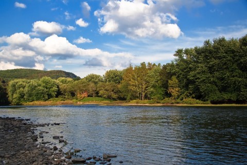 The 10 Best Places In New Jersey To Go On An Unforgettable Picnic