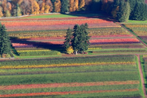 These 12 Aerial Views In Oregon Will Leave You Mesmerized