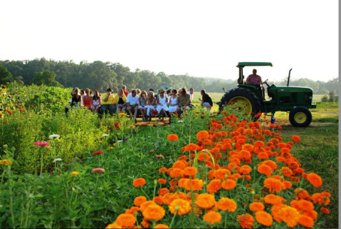 10 Louisiana Farms That Will Make You Miss The Country