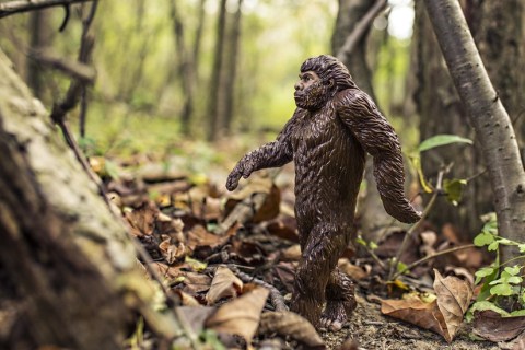 We Found Footage of a Dead Bigfoot in Nebraska - Watch if You Dare