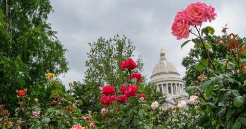 These 12 Arkansas Gardens Will Amaze You With Their Beauty