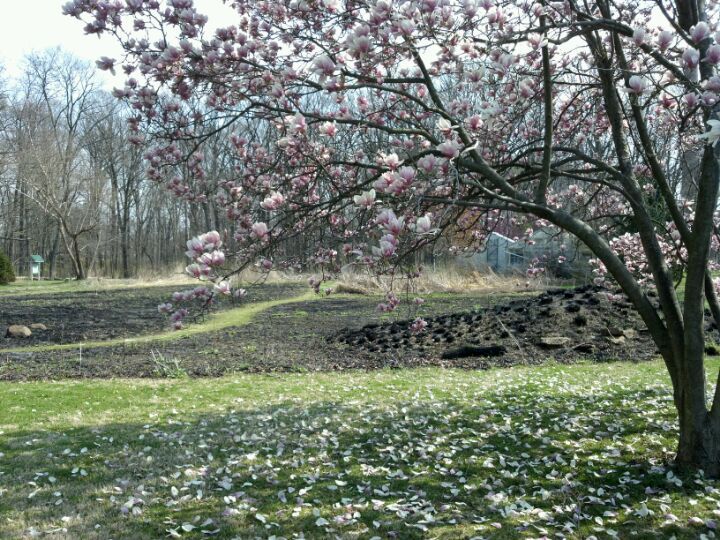 beautiful gardens in Indiana