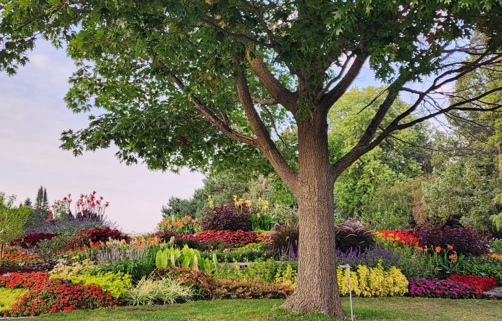 beautiful gardens in minnesota