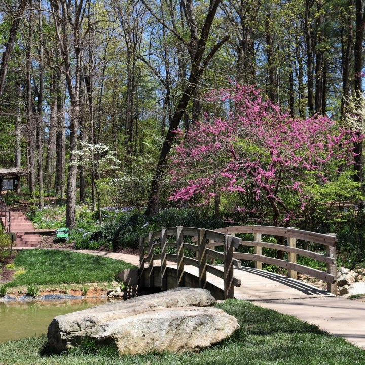 gardens in virginia