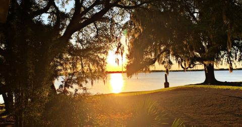 11 Of The Most Beautiful Gardens In Louisiana