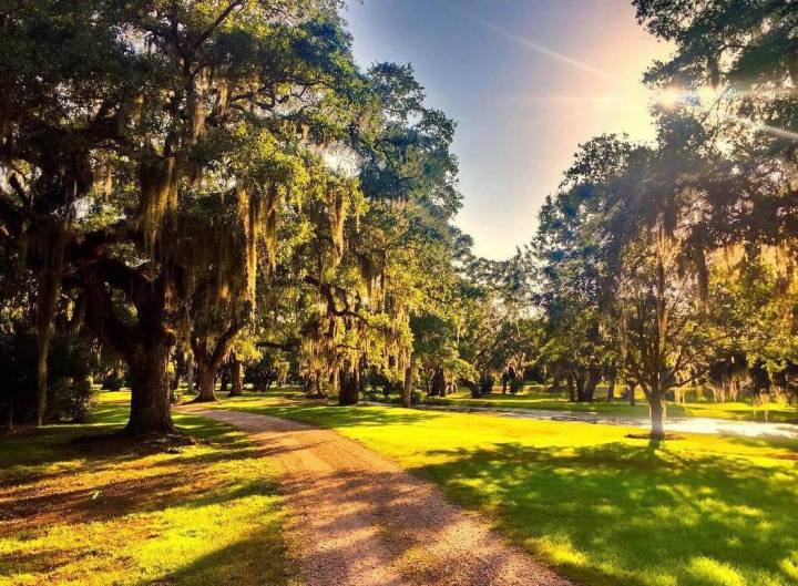 gardens in Louisiana