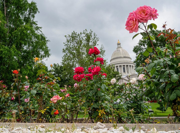 best gardens in Arkansas