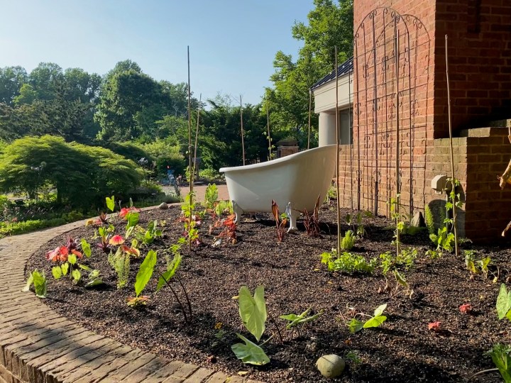 gardens in virginia