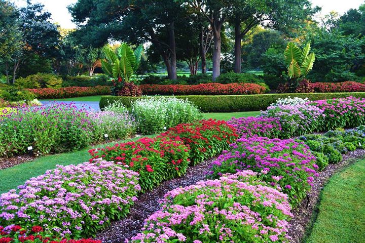 gardens in Texas