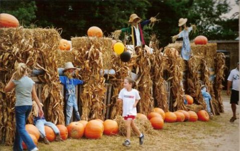 Here Are 7 Farms In North Carolina Where You Can Pick Your Own Food