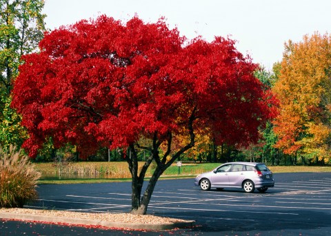 The Fall Foliage At These 16 Spots In Indiana Is Stunningly Beautiful