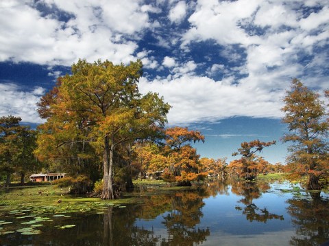 The Fall Foliage At These 10 State And National Parks In Texas Is Stunningly Beautiful