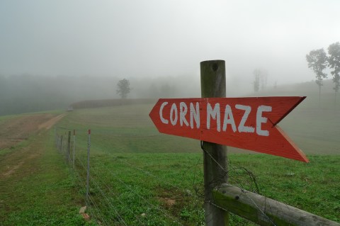 11 Awesome Corn Mazes In South Carolina You Have To Do This Fall