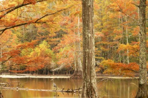 You Must Visit These 10 Awesome Places In Mississippi This Fall