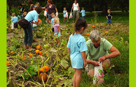 Don’t Miss These 12 Great Pumpkin Patches In Nebraska This Fall