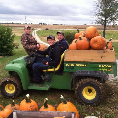 Don't Miss These 10 Great Pumpkin Patches In Illinois This Fall