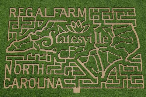 12 Awesome Corn Mazes In North Carolina You Have To Do This Fall