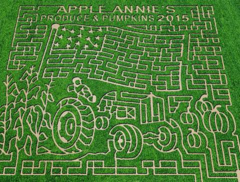 8 Awesome Corn Mazes In Arizona You Have To Do This Fall