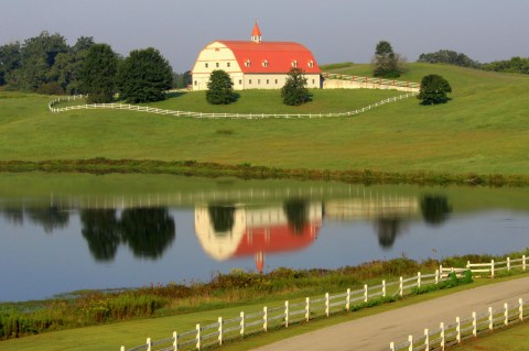 These 10 Charming Farms In Alabama Will Make You Love The Country