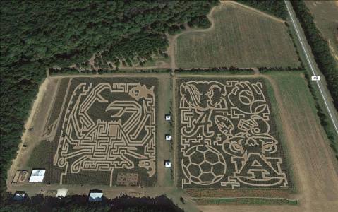 10 Awesome Corn Mazes In Alabama You Have To Do This Fall Season