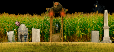 9 Awesome Corn Mazes in Vermont You Have To Try This Fall