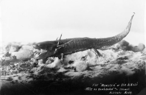 This Small Nebraska Town Is Home To A Shockingly Big Monster Tale