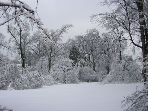 Why You Definitely Should Not Be Dreading Winter In Kentucky