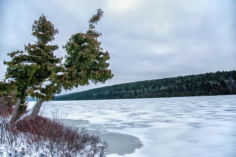 11 Things You Really Hope Santa Brings Michigan For Christmas