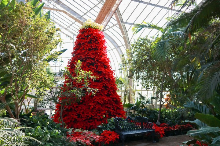 6. Birmingham Botanical Gardens