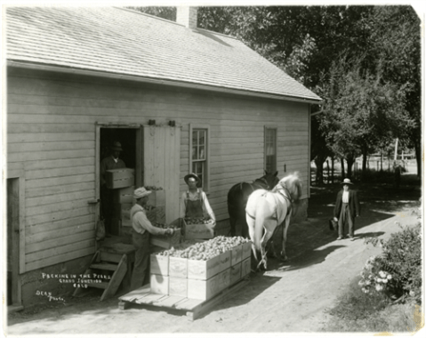 There's Something Special About These 17 Colorado Farms From The Past