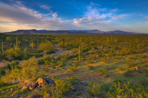 Most People Don't Know These 10 Treasures Are Hiding In Arizona