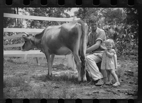 This Is What Life Looked Like In North Carolina In 1936. WOW!