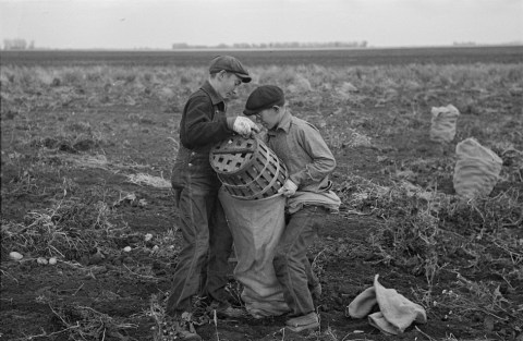 23 Rare Photos Taken In Minnesota During The Great Depression