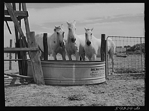 16 Rare Photos Taken In Nebraska During The Great Depression