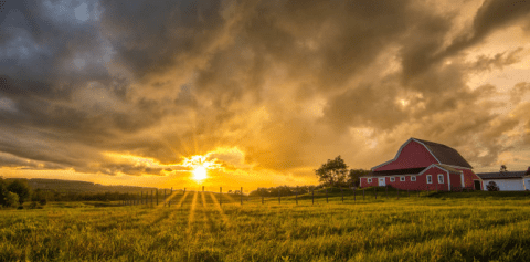 These 16 Charming Farms In Maine Will Make You Love The Country